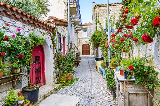 A charming street adorned with blooming roses in Turkey, inviting visitors to take a stroll and explore the local culture and architecture.